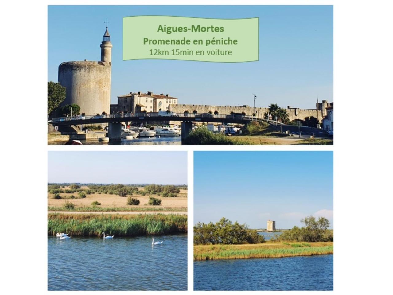 T2 West City Parking Clim Wifi 4Pers - Rossiconciergerie - Linge Inclus La Grande Motte Luaran gambar