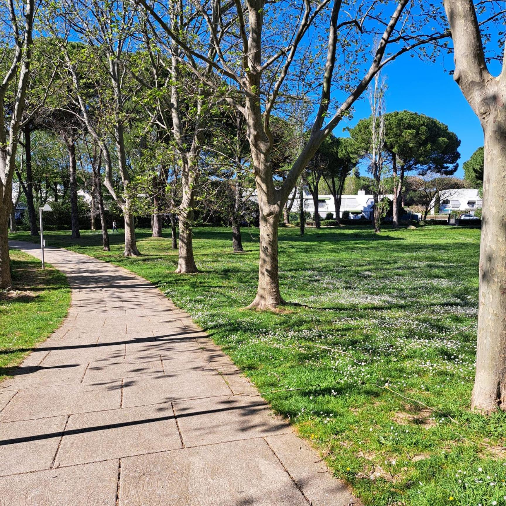 T2 West City Parking Clim Wifi 4Pers - Rossiconciergerie - Linge Inclus La Grande Motte Luaran gambar